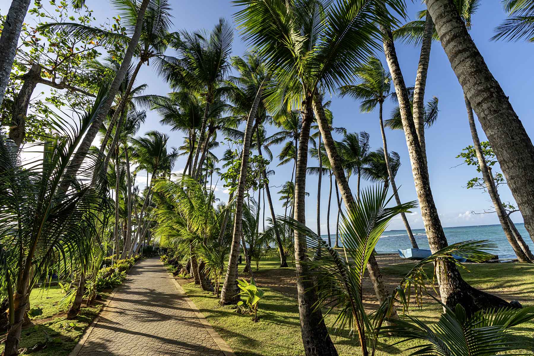 Playa Bonita Las Terrenas